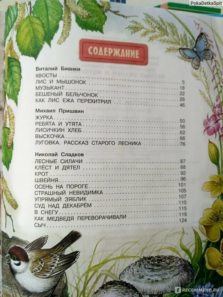 Рассказы 3 класс содержание. Сладков лесные сказки оглавление. сладков лесные сказки содержание. рассказы о животных бианки оглавление.