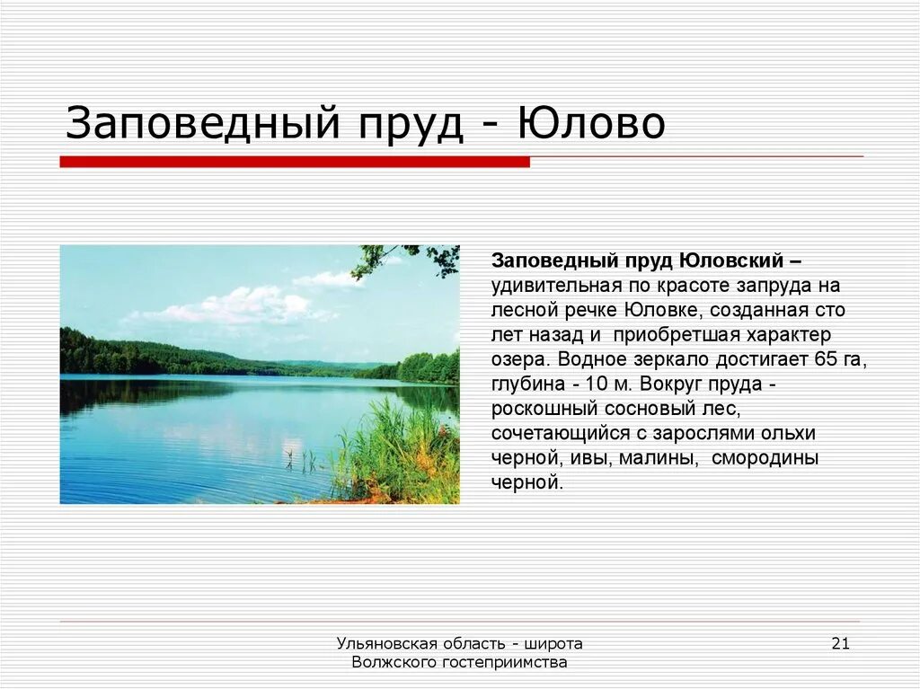 Заповедный пруд Юлово. Реки и озера Ульяновской области. Водоемы Ульяновской области презентация. Озёра Ульяновской области список. Водные богатства ульяновской области