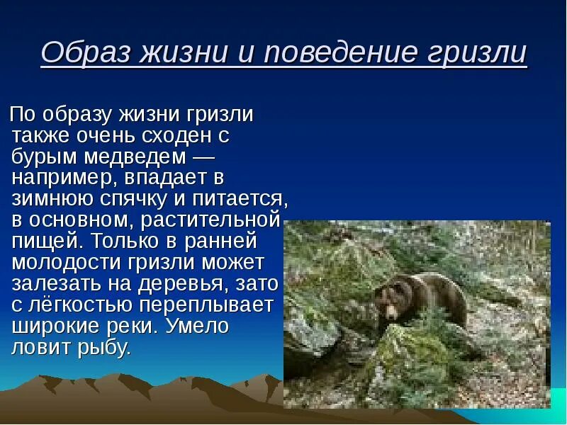 Описание медведя. Образ жизни бурого медведя. Бурый медведь сообщение. Медведь для презентации.