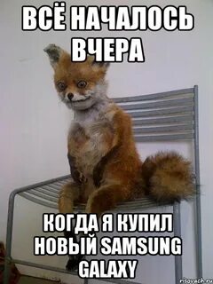 Вчера начался