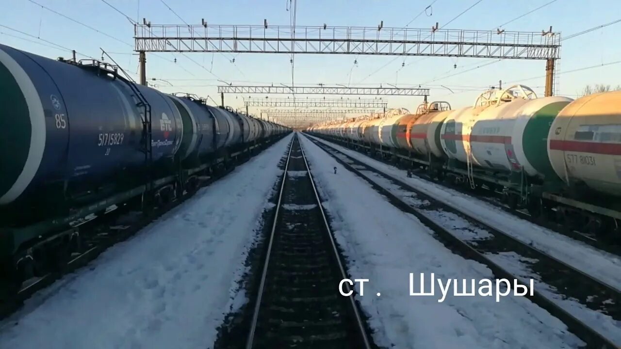 Санкт-петербург павловск электричка. Электрички шушары новолисино. Дизель-поезда на станции новолисино. Электрички шушары новолисино. Электричка кобралово витебский вокзал.