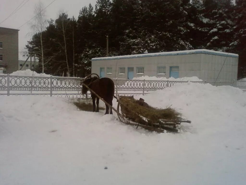 Подслушано бураево в контакте. Фото больницы в Бураево. Мост Бураево. Погода в Бураево. Погода в Бураево на неделю.