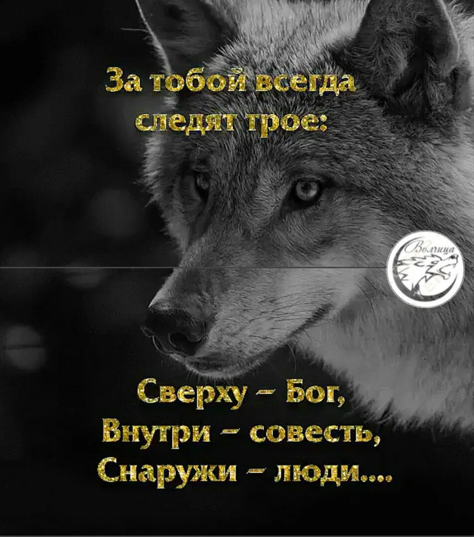 Всегда следить за тем. За тобой всегда следят трое сверху Бог. За тобой всегда следят трое сверху Бог внутри совесть снаружи люди. Сверху Бог внутри совесть снаружи.