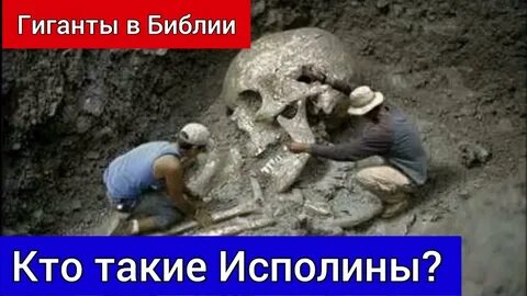 Гиганты полов
