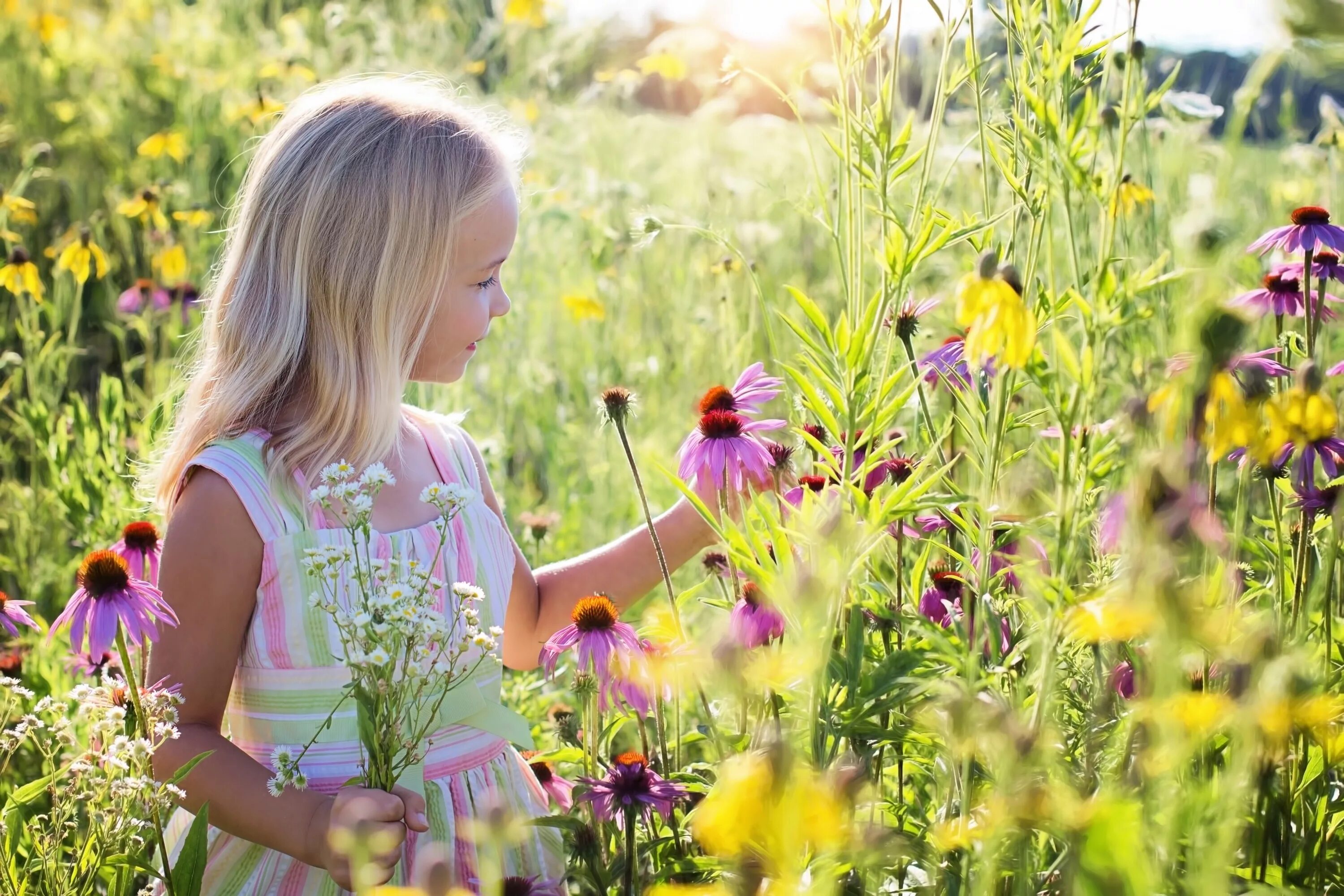 Слушать видишь лето. Девочка с цветами. Девочка на лугу. Дети и природа. Дети на лугу.