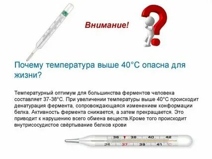 Почему опасна температура выше 40