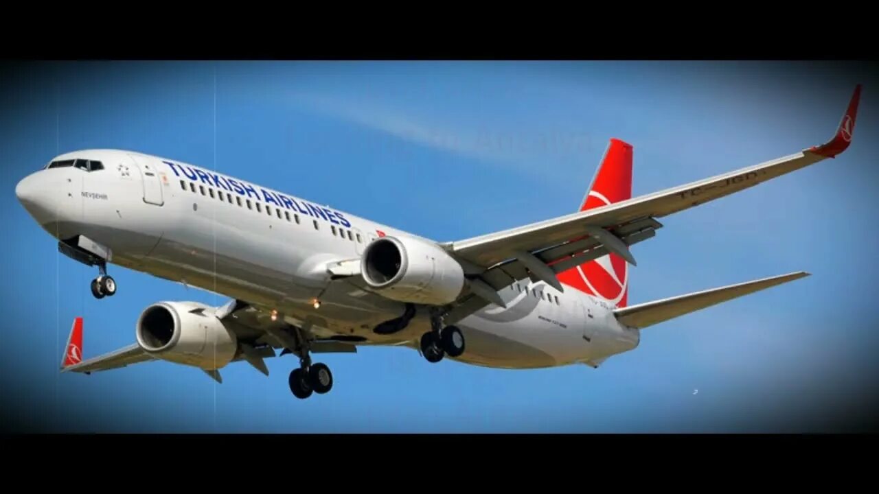 737 800 турецкие авиалинии. Боинг 737 турецкие авиалинии. boeing 737-800 turkish airlines. боинг 737 туркиш. боинг 737 туркиш эйрлайнс.