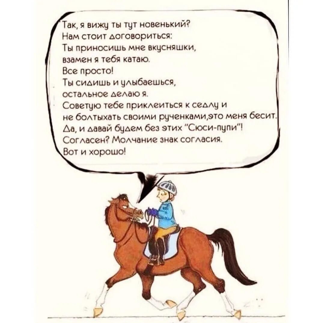 конный спорт стих