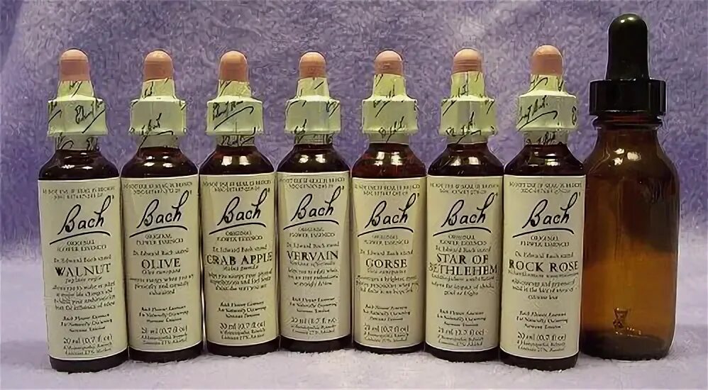 Dr bach