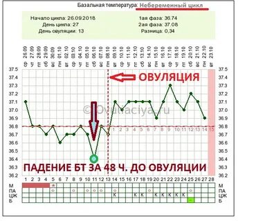 Перед месячными поднимается температура 37.2