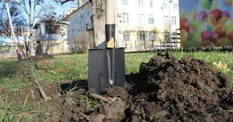Краснодарская посадка