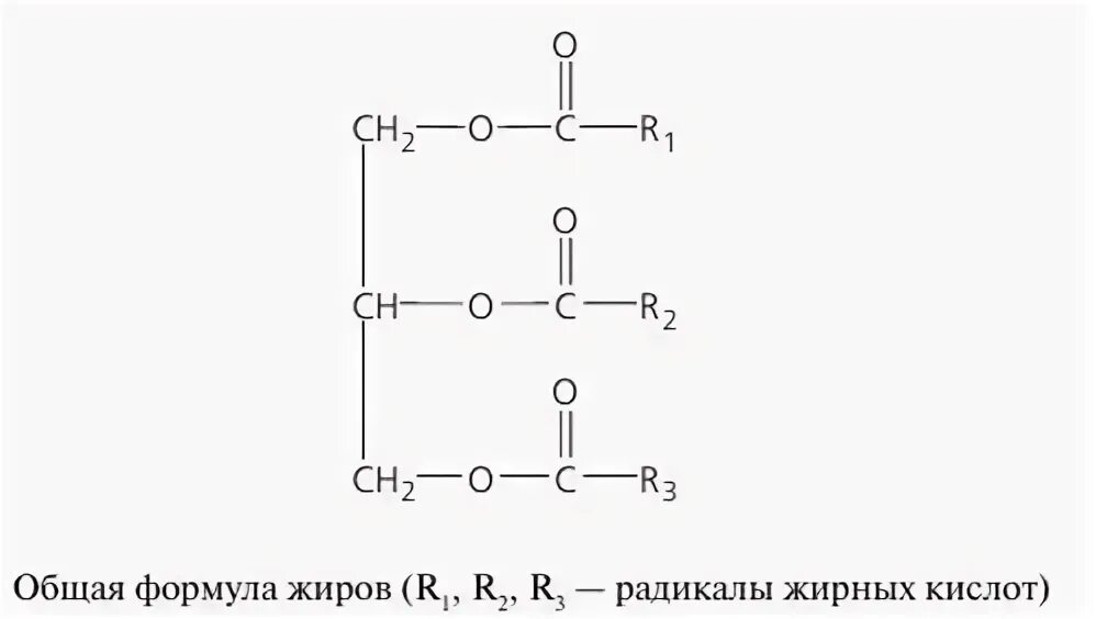 Общее название жиров. Общая структурная формула жиров. Общая формула жиров химия. Общая химическая формула жиров. Общая формула молекулы жира.