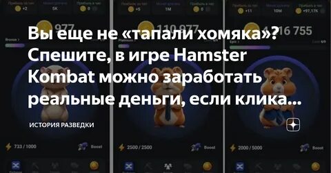Когда можно будет вывести деньги из хомяка