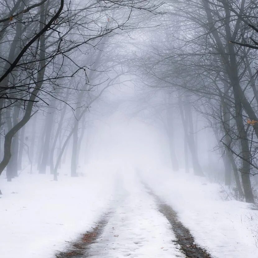 Зимний туман. Туман в снегу. Зимний пейзаж с туманом. Зимний туманный пейзаж. Сугроб сугробы туман