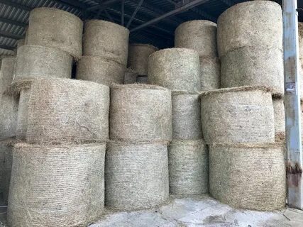 Прессованные тюки