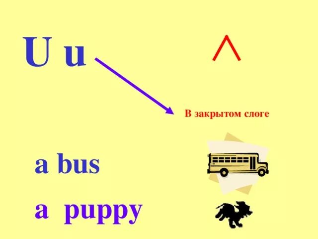 Буква u в закрытом слоге. Буква u в открытом и закрытом слоге в английском языке. Открытый и закрытый слог буква u. Автобус слогами. U в закрытом слоге