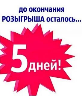 2 5 в день
