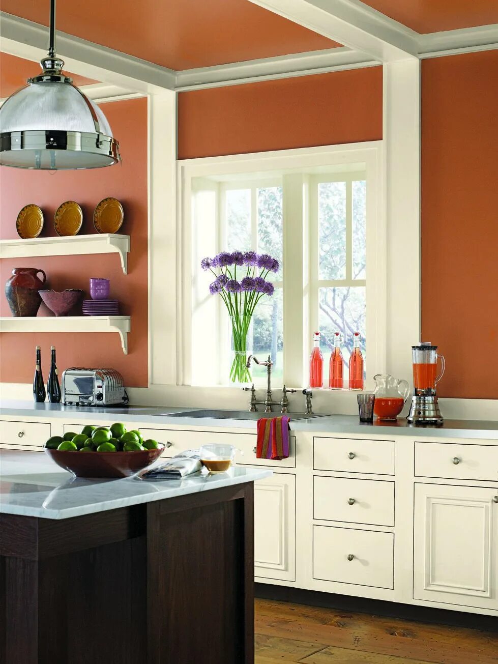 Какая лучшая краска для кухни. Кухонный интерьер. Цвет стен на кухне. Кухня терракотового цвета. Крашеные стены на кухне.