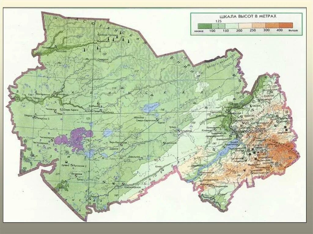 Карта высот новосибирска. Физическая карта Новосибирской области карта. Физическая карта НСО Новосибирской области. Физическая карта НСО. Карта рельефа Новосибирской области.