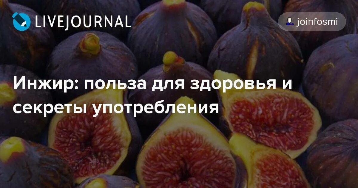 Инжир польза для организма. Польза инжира для здоровья. Чем полезен инжир. Инжир полезные свойства. Инжир сушеный польза.