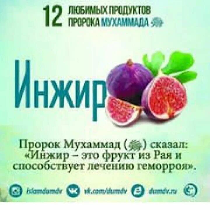 Любимый цвет пророка. Любимый цвет пророка. Пророк мухаммед мир ему. 12 любимых продуктов пророка мухаммада. Любимый цветок пророка мухаммеда.