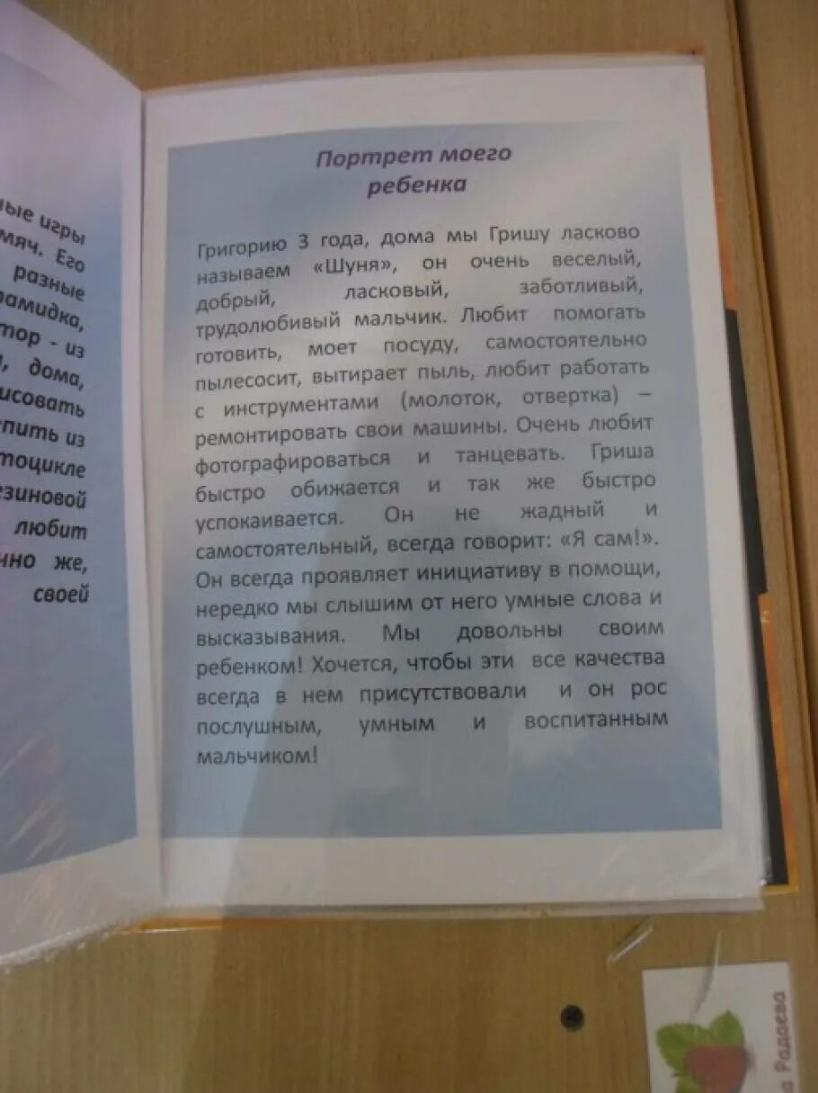 Сочинение сад мечты. Портрет моего ребенка. Портрет моего ребенка сочинение. Сочинение портрет моего ребенка для детского сада. Сочинение мой ребенок для садика.