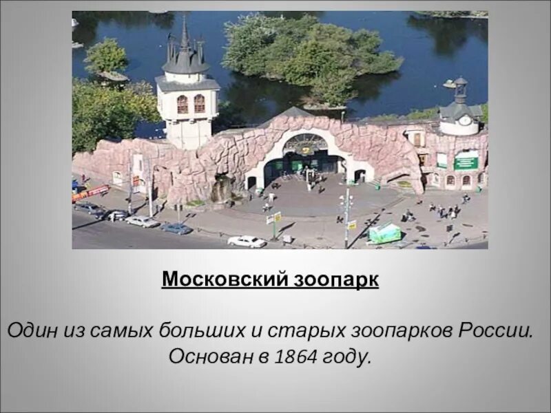 Зоопарк сообщение 2 класс. Московский зоопарк основан в 1864. московский зоопарк 1864. московский зоопарк проект 4 класс. московский зоопарк рассказ для 1 класса.