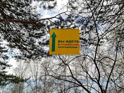 Они в правильном направлении