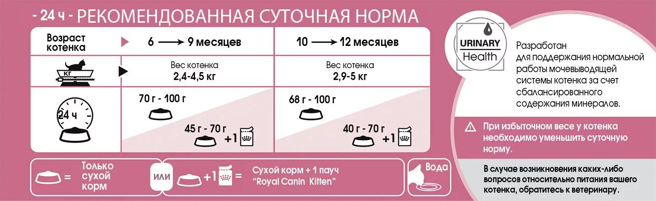 Сколько влажного корма котенку