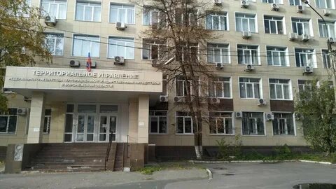 Воронежское территориальное управление