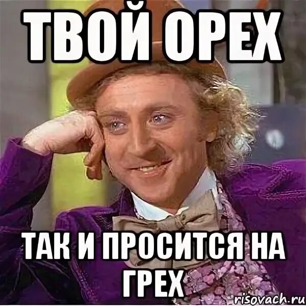 Твой орех просится на грех. Орех так и просится на грех. вот это орех так и просится на грех. орех просится на грех. орех так и просится на грех приколы.