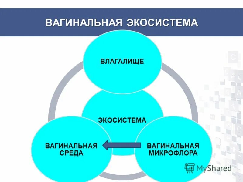 какая среда во влагащение