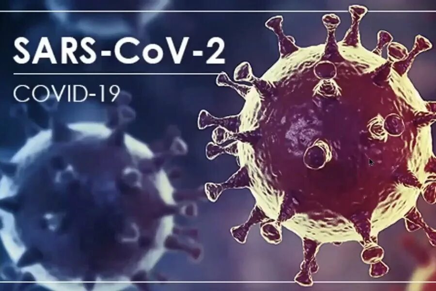 Sars какой вирус. Вирус sars-cov-2. sars вирус. sarscov2. строение коронавируса sars-cov-2.