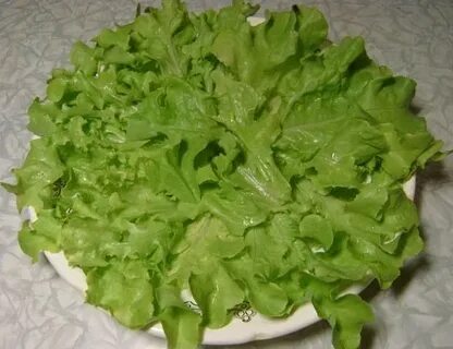 Листовой салат сыр