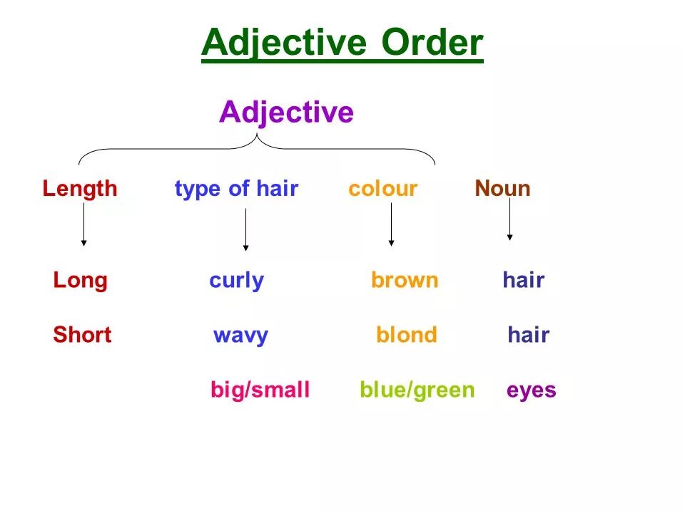 Types of word order