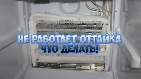 Холодильник ноу фрост оттайка