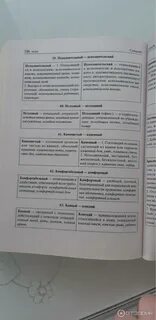 Сенина гармаш огэ 2024 русский