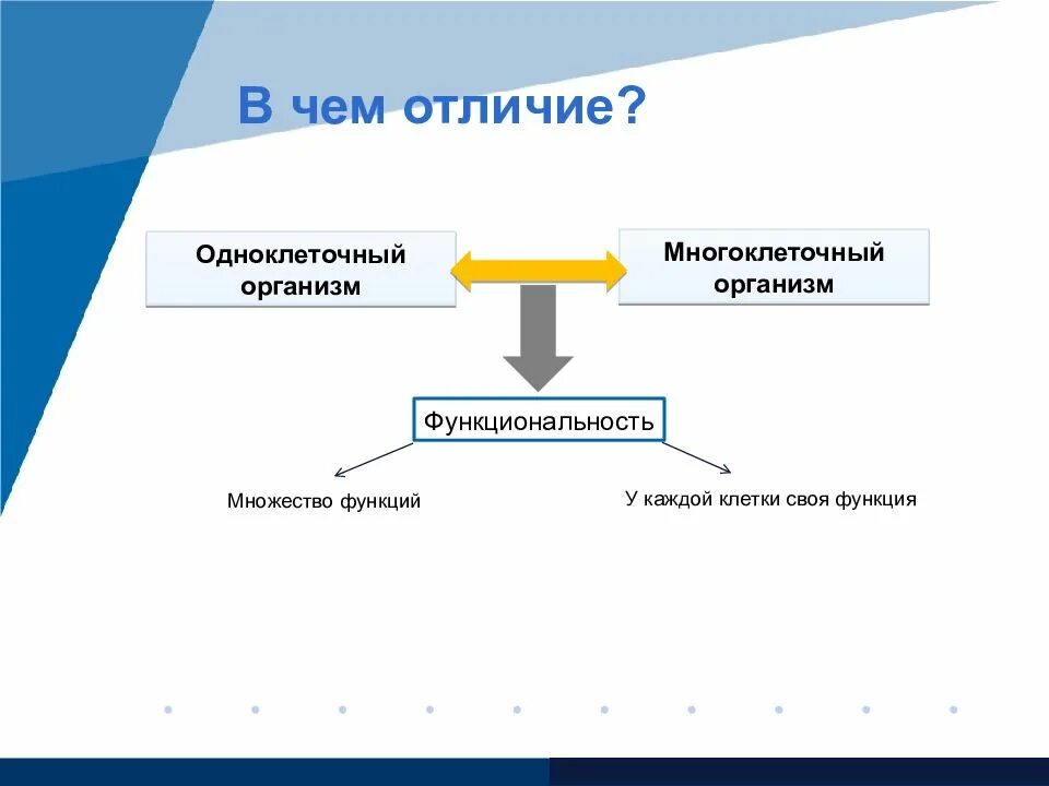 Сходство и различие одноклеточных. Сходства и различия одноклеточных и многоклеточных. Сходство и различие клеток простейших и многоклеточных организмов. Сходства и различия клеток одноклеточных и многоклеточных. Сходства и различия одноклеточных и многоклеточных организмов.