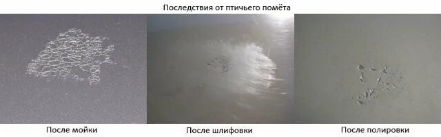 Как отмыть помет. Птичий помет на лкп авто. след от птичьего помета на лкп. последствия птичьего помета на лкп. повреждения лакокрасочного покрытия птичий помёт.