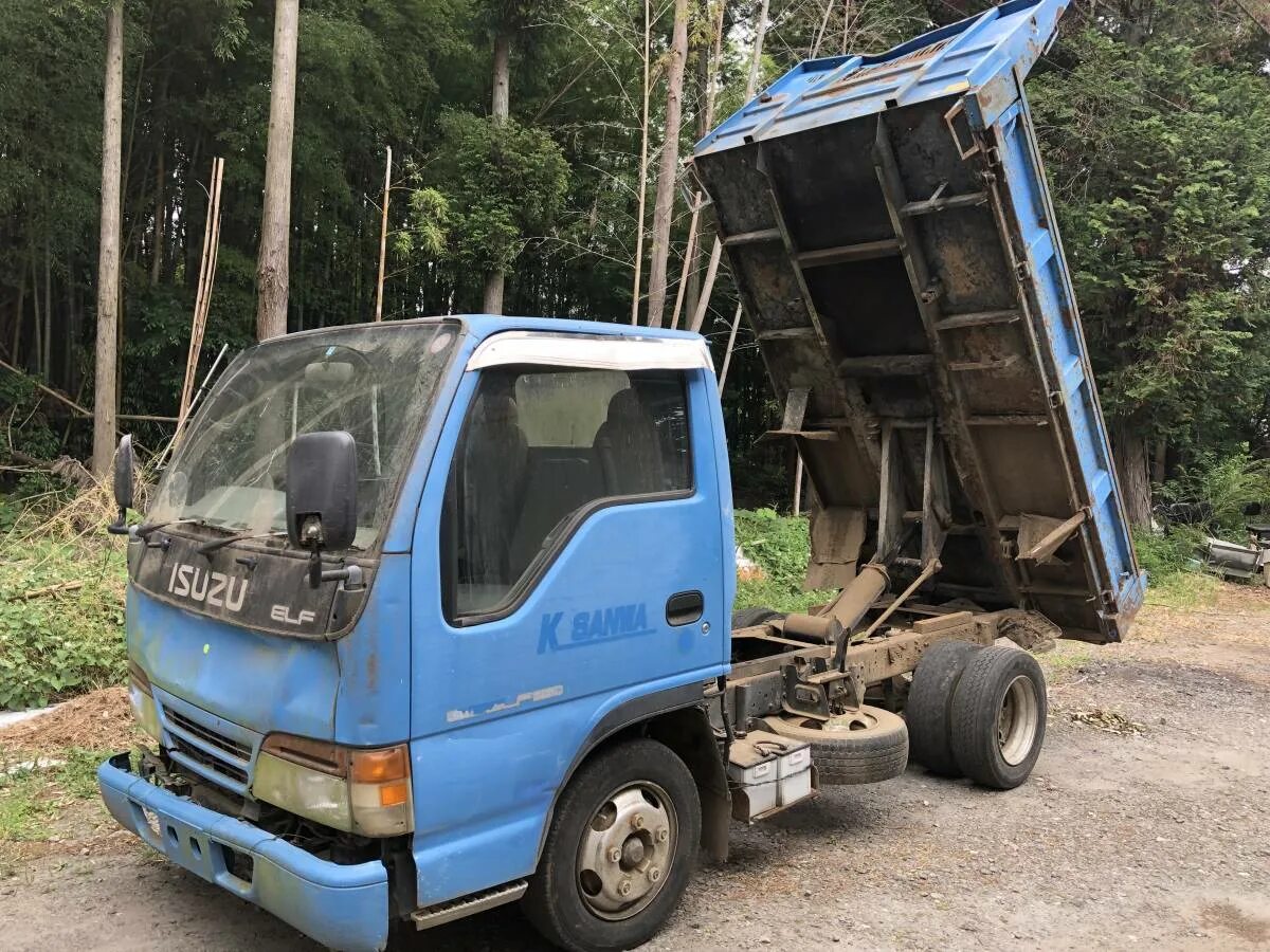 Исузу эльф самосвал 4 вд. Эльф самосвал. Исузу самосвал 2-3 тонны. Исузу эльф самосвал 3 тонник. Isuzu elf самосвал 3 т.