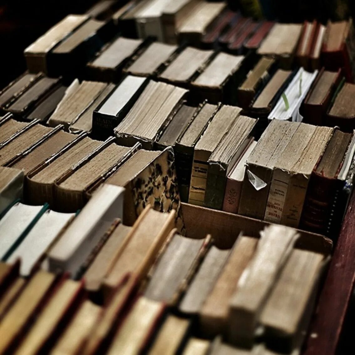 Brown books