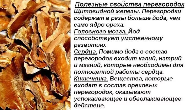 Марсониоз грецкого ореха. Отвар грецкого ореха. Ореховое масло. Скорлупа грецкого ореха отвар. Отвар перегородок грецкого ореха на воде.