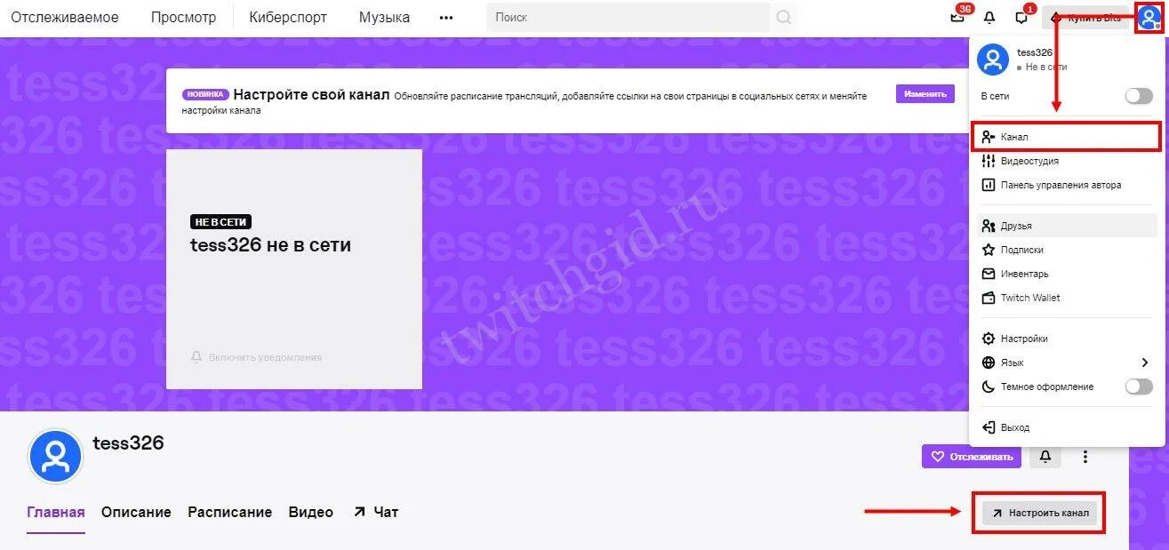 Как модератору поменять название стрима на твиче. Панель управления трансляции твич. что можно написать о себе на твиче. описание стрима на твиче. как добавить описание на твиче в профиле.