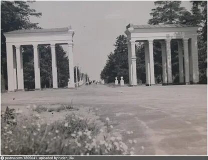 Парк верхняя терраса