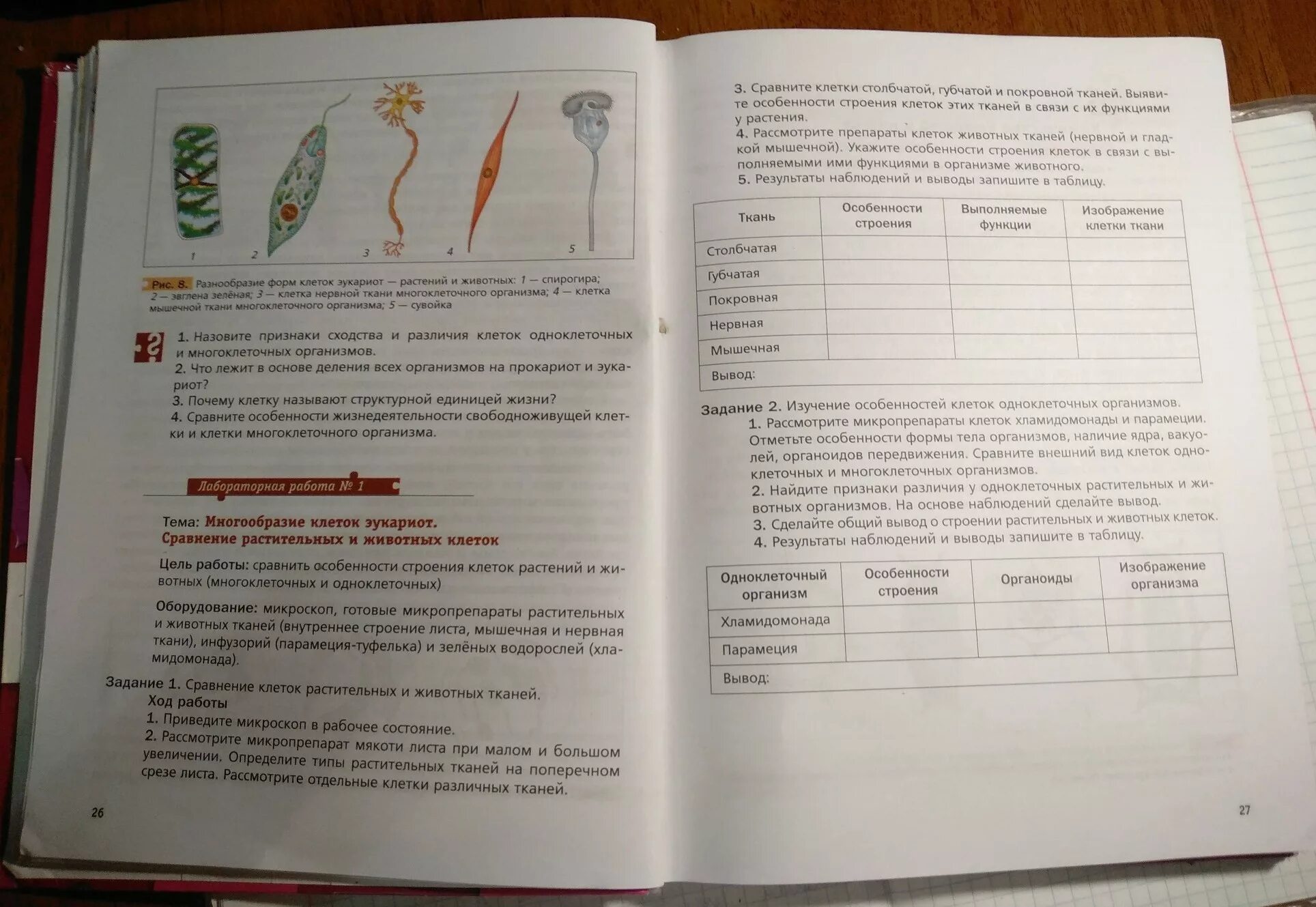 Практическая работа по биологии 9 класс кожа. Биология лабораторная работа. Практическая работа по биологии. Лабораторная по биологии 9 класс. Лабораторная работа 9 класс биология.