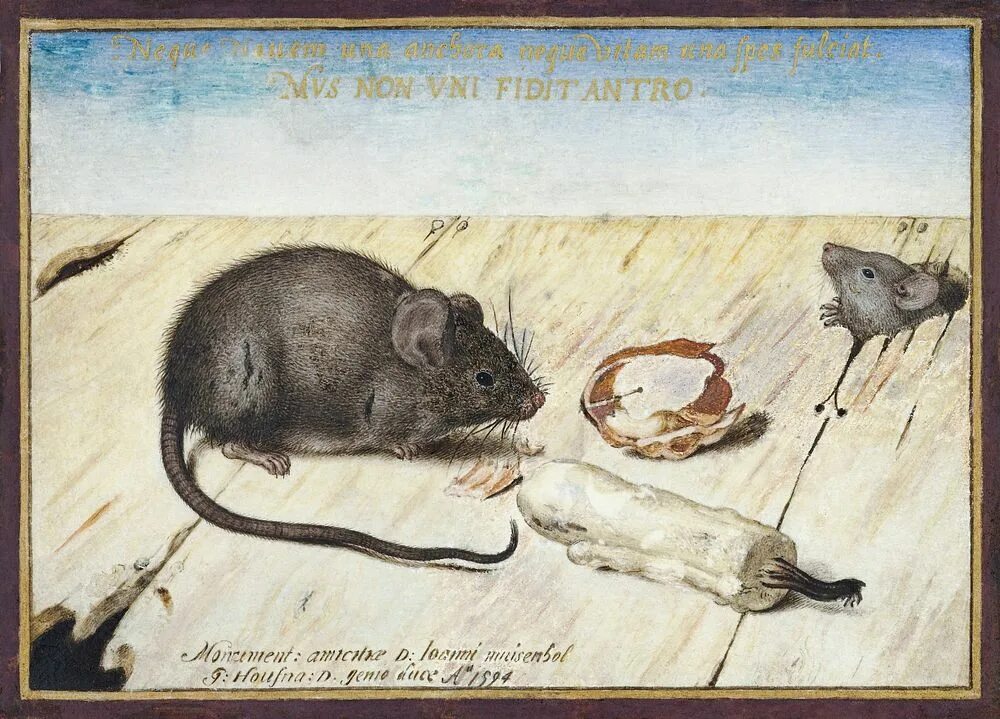 Two mouse