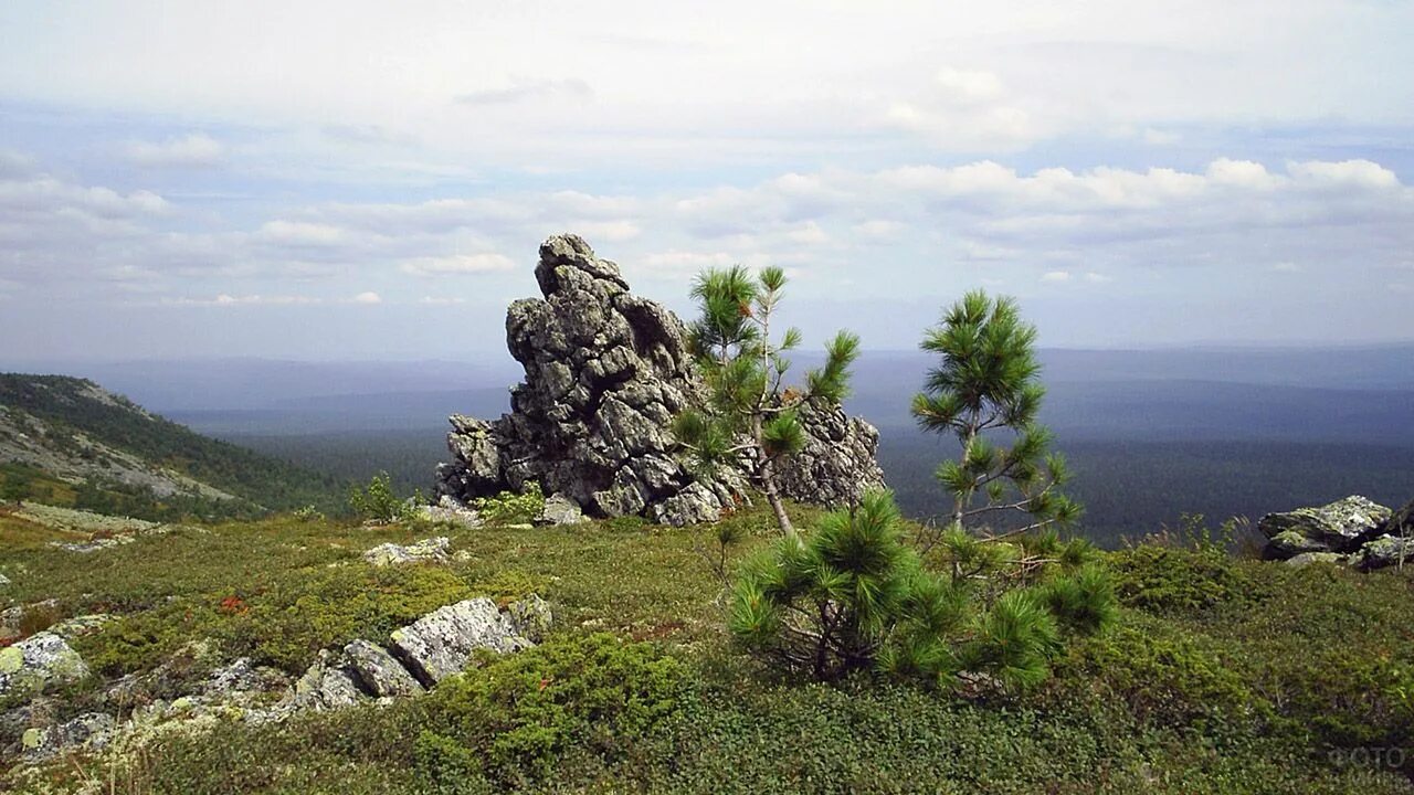 Уральские горы Басеги. Хребет Басеги Пермский край. Гремячинск заповедник Басеги. Горный хребет Басеги. Уральские купить места