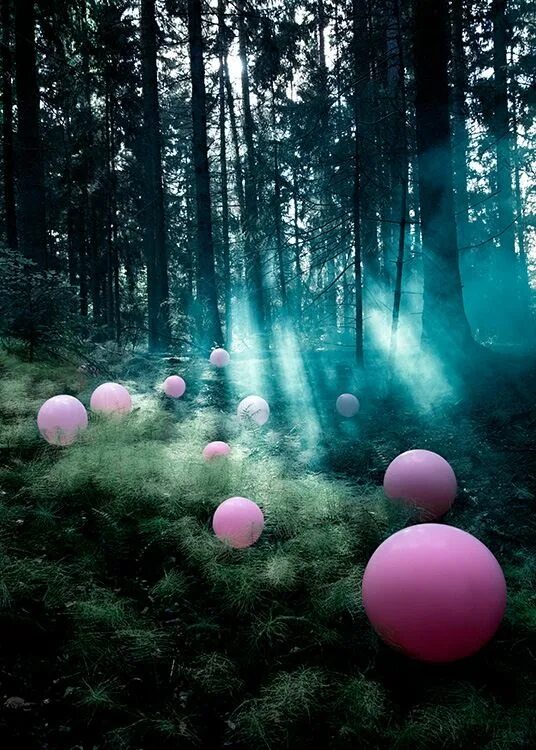 Лес из шаров. Шары в лесу. Шары на природе. Воздушные шары в лесу. Фотосессия с шарами в лесу.