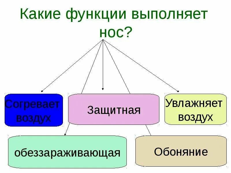 Исполняемыми им функциями