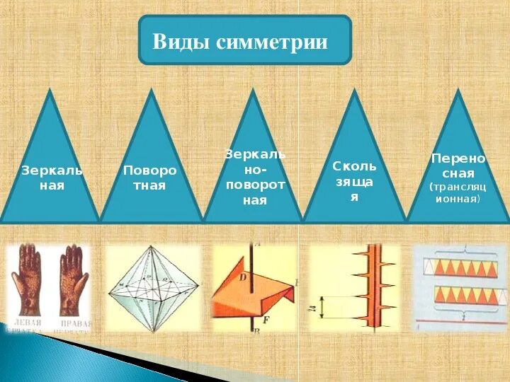 Виды геометрических симметрий. Виды симметрии. виды геометрической симметрии. виды симметрии в геометрии. какие бывают симметрии в геометрии.